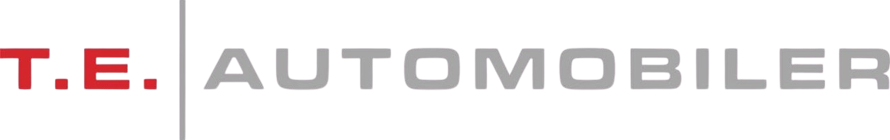 TE Automobiler logo